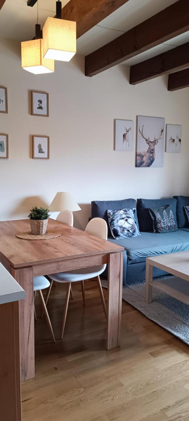 Duplex Familiar Izarraitz Apartment Villanúa Екстериор снимка